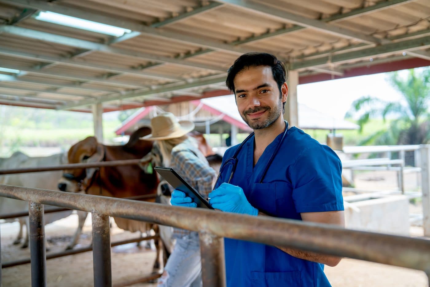 A vet in scrubs recording something on a tablet beside a cattle pen